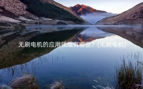 无刷电机的应用领域有哪些？(无刷电机)