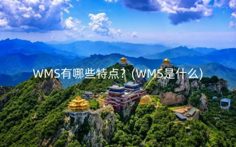 WMS有哪些特点？(WMS是什么)