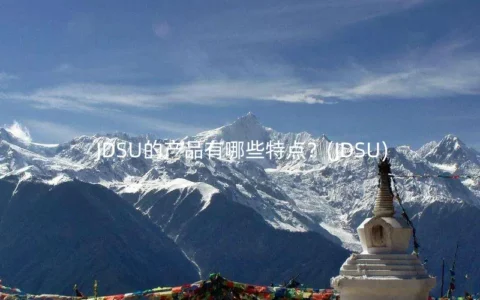 JDSU的产品有哪些特点？(JDSU)